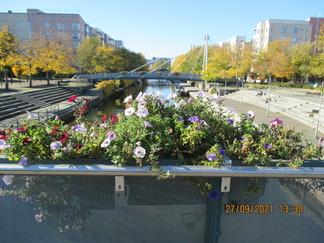 Kanalen mellan Busholmen och Gräsviken.