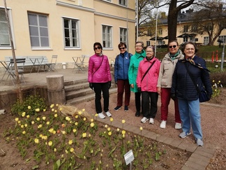Blomsterprakt i botaniska trädgården.
