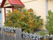 Ambolands museum var ett måste.