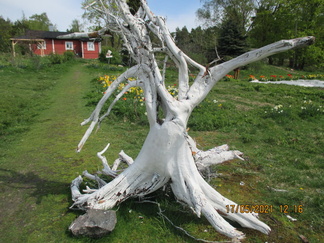 Konst ute i det fria.