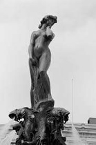 Idag har bl.a. "Manta" namnsdag.