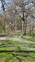 Våren i Göteborg
